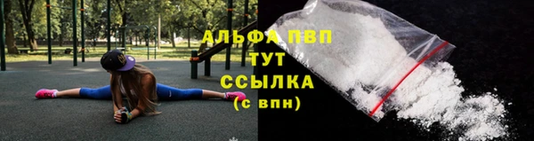Альфа ПВП Баксан