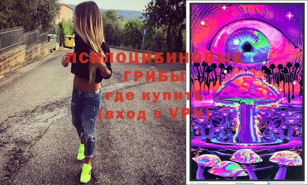 Альфа ПВП Баксан