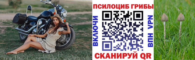 Галлюциногенные грибы мицелий  Купить закладки  Пудож 