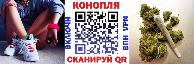 Конопля индика  Купить закладки  Пудож 